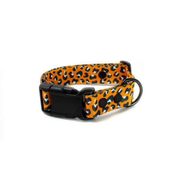 Autumn Leopard - Dog Collar