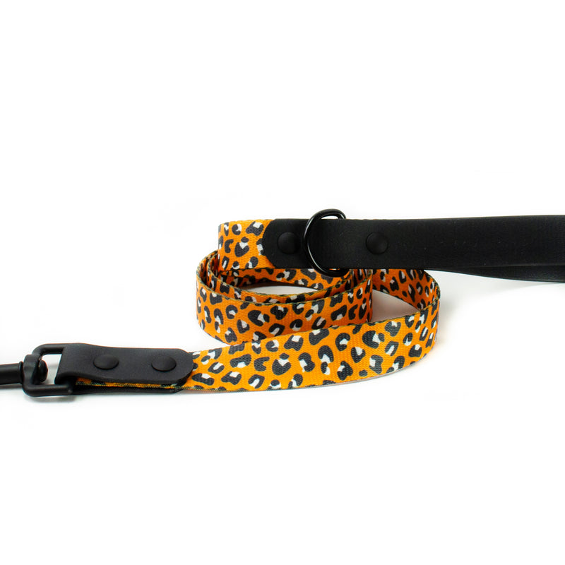 Autumn Leopard - Hybrid Dog Leash