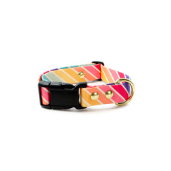 A cute pride themed dog collar with retro rainbow stripes and gold colored brass hardware