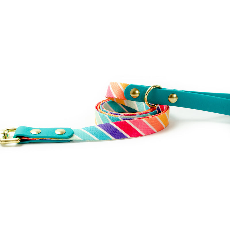 A cute pride themed dog leash with retro rainbow stripes and gold colored brass hardware