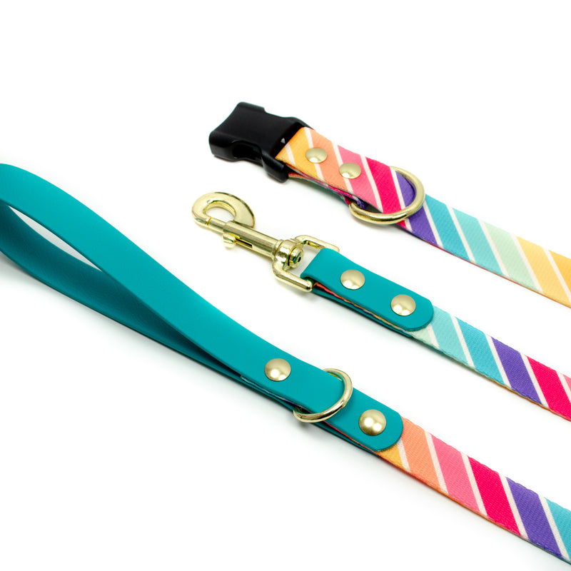 A cute pride themed dog collar and leash set with retro rainbow stripes and gold colored brass hardware