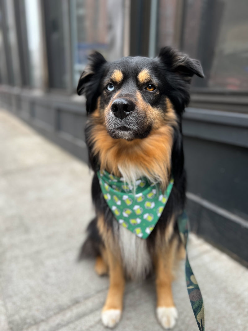 St. Patrick's Day Green Beers - Athleisure Dog Bandana