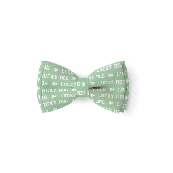 Lucky Dog - Double Layered Bow Tie