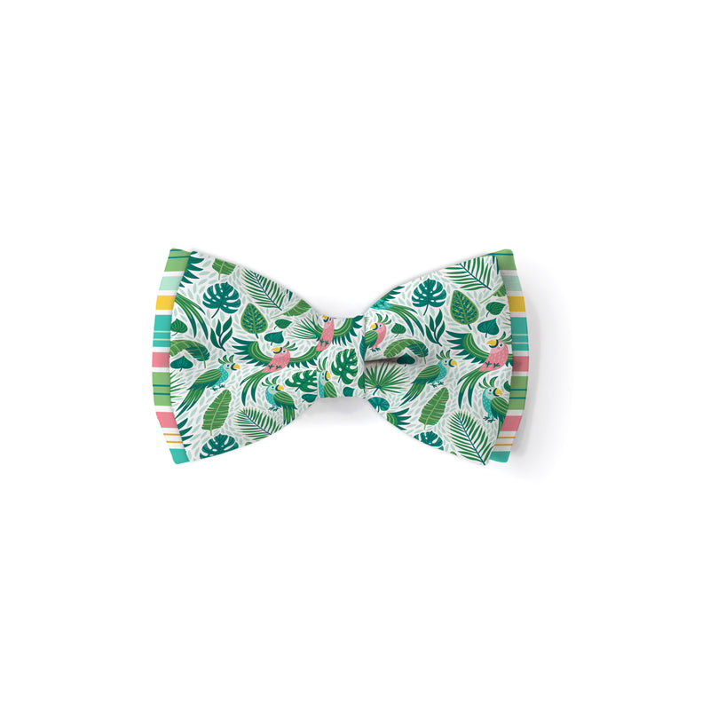 Tropical Birds - Double Layered Bow Tie