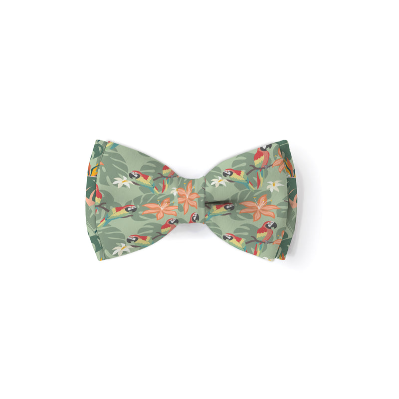 Tropical Birds - Double Layered Dog Bow Tie